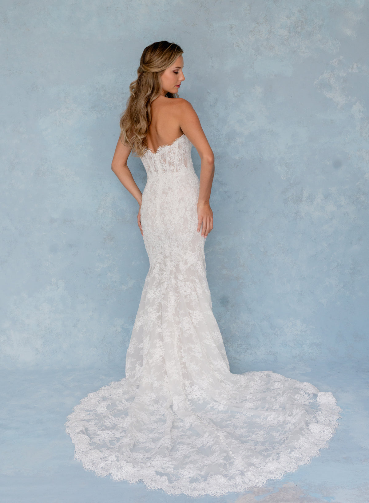 A woman modeling a strapless lace mermaid wedding gown from the back, showing a fitted lace bodice and a long flared train against a textured light blue studio backdrop. / All over lace and lace applique slim gown with detachable lining and jacket as well as structured corset.