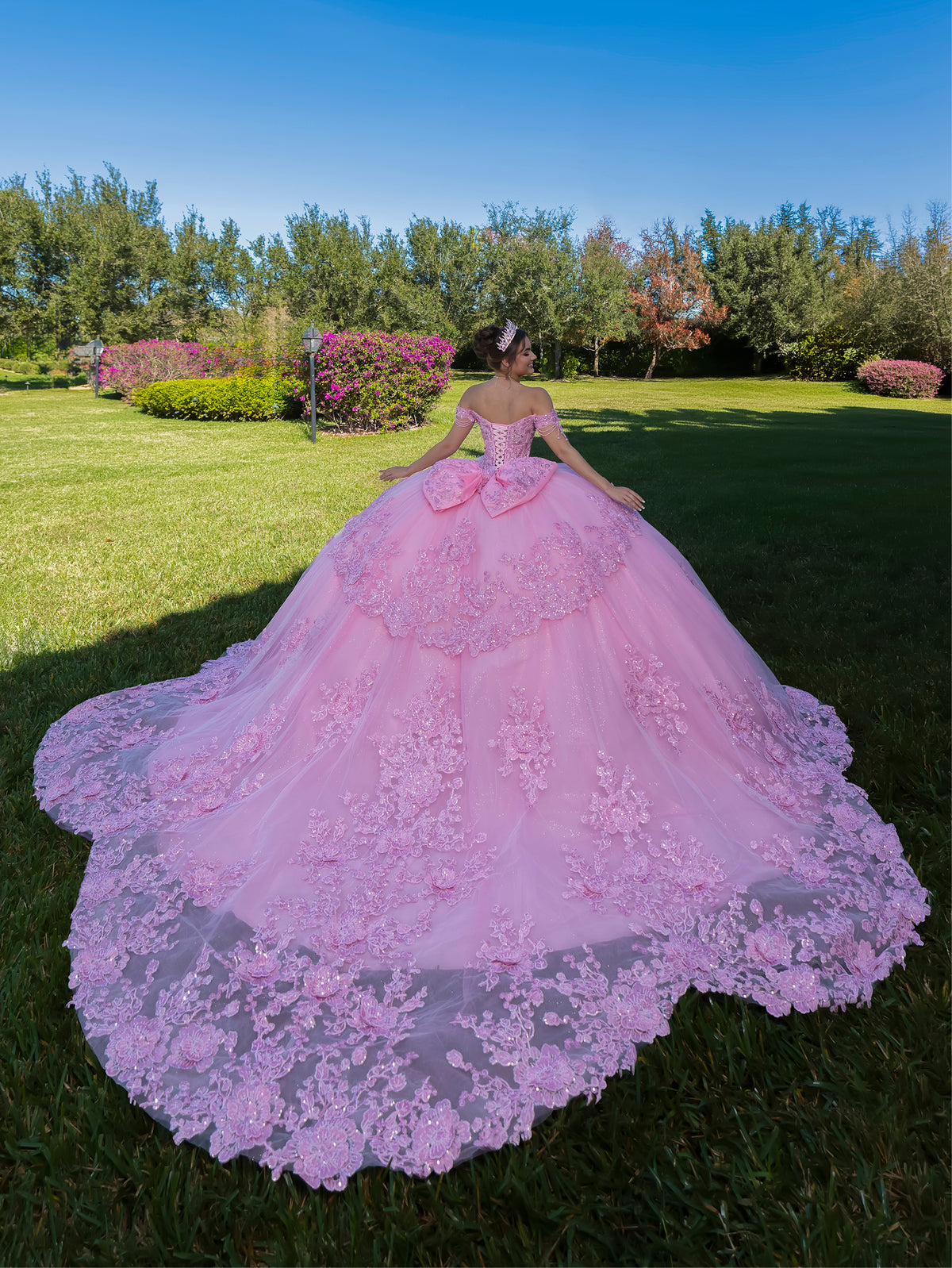 A young woman stands outdoors on a grassy lawn wearing a voluminous light pink ball gown with floral lace appliqué, a fitted strapless bodice, and a very full skirt with a long train. / This ball gown features a richly detailed bodice with floral appliqué and off-the-shoulder straps. The skirt is extremely full and layered with cascading floral accents, creating a dramatic, fairytale look.