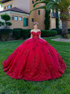 Woman in a red ball gown standing in front of a building with greenery / This ball gown features a richly detailed bodice with floral appliqué and off-the-shoulder straps. The skirt is extremely full and layered with cascading floral accents, creating a dramatic, fairytale look.