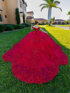 Red ball gown with intricate details on a grassy lawn / This ball gown features a richly detailed bodice with floral appliqué and off-the-shoulder straps. The skirt is extremely full and layered with cascading floral accents, creating a dramatic, fairytale look.