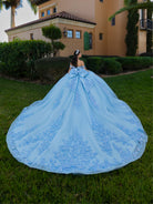 Blue ball gown with intricate details on a grassy lawn. / This ball gown features a detailed floral-appliqué bodice with soft off-the-shoulder straps. The full layered skirt is adorned with matching floral designs and flows into a dramatic, elegant train.