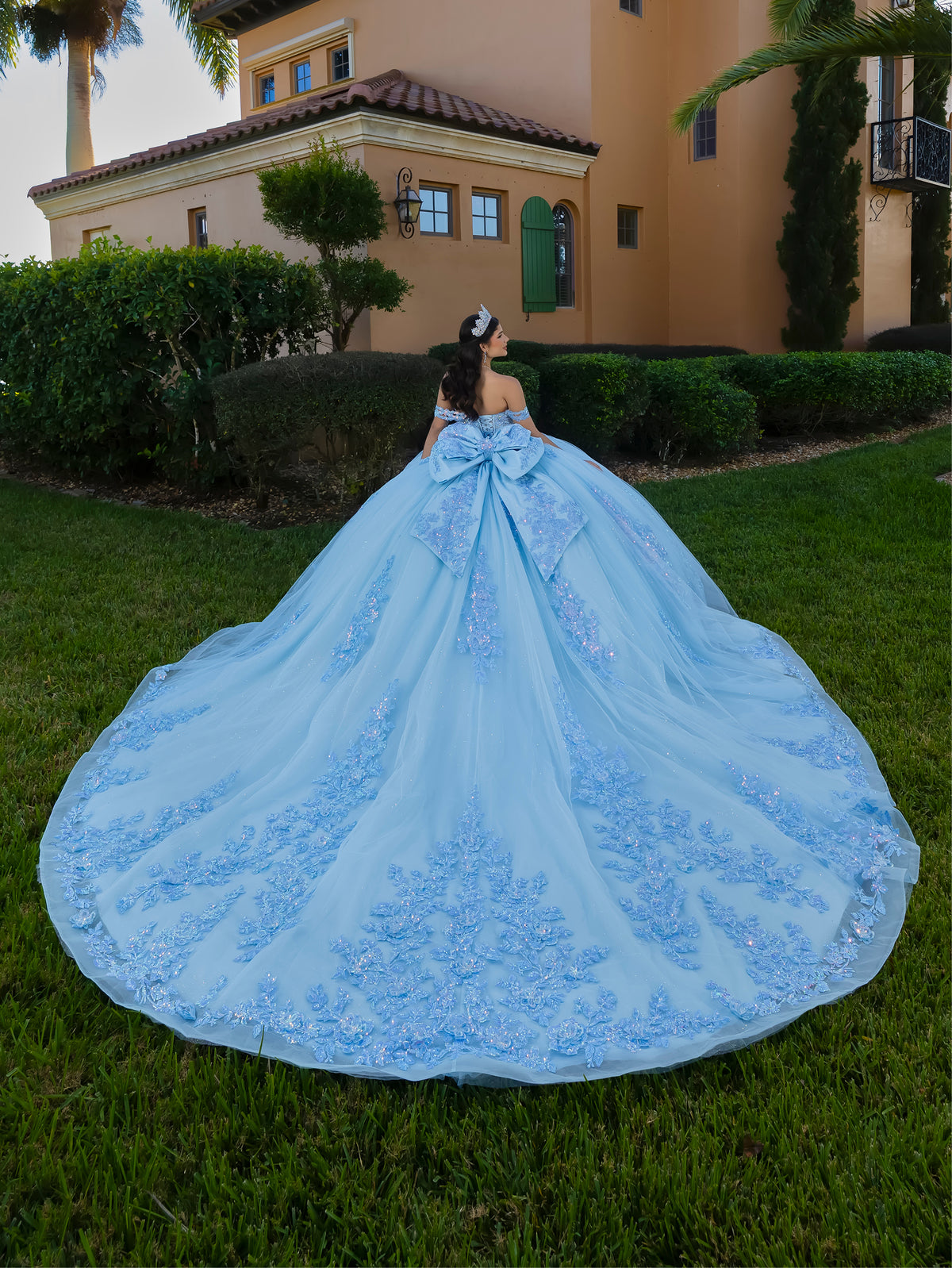 Blue ball gown with intricate details on a grassy lawn. / This ball gown features a detailed floral-appliqué bodice with soft off-the-shoulder straps. The full layered skirt is adorned with matching floral designs and flows into a dramatic, elegant train.