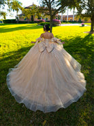 This ball gown features an embellished bodice, off-the-shoulder sleeves, and a full skirt with floral detailing. A large bow at the back completes the look.