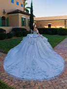 Woman in a white wedding dress standing on a brick path in front of a building with green shutters. / This gown features an embellished off-the-shoulder bodice with delicate appliqué and a full tulle skirt decorated with floral embroidery. A structured accent at the waist and a long, ornate train complete the dramatic look.